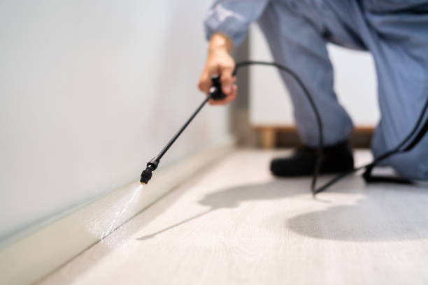Licensed Termite Control service in Columbia, MS - Nex Pest Control