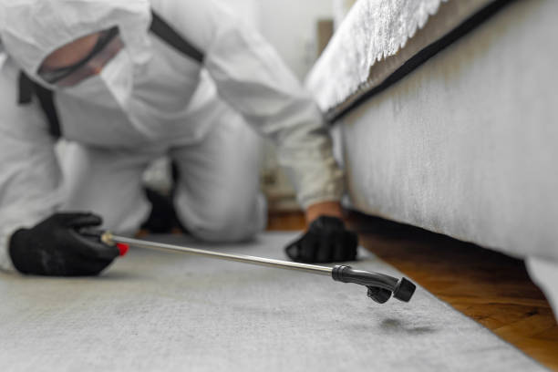 Professional Termite Control technician working in Columbia, MS
