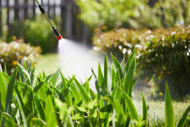24/7 Emergency Termite Control experts in Columbia, MS