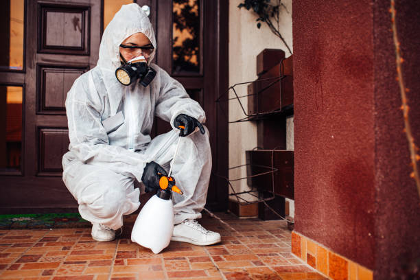 Reliable Termite Control contractor in Columbia, MS by Nex Pest Control